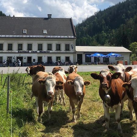 Gasthof Zum Maurer Mariazell Exterior foto